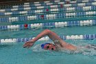 MSwim vs USCGA  Men’s Swimming & Diving vs US Coast Guard Academy. : MSwim, swimming